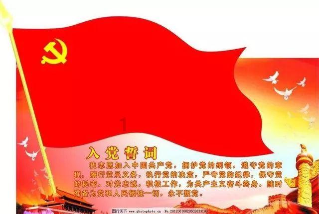 小熊猫和浣熊的区别游戏画面